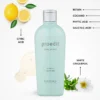 Restorative Shampoo For Dry Hair Lebel Proedit Soft Fit Hair Shampoo - Image 3